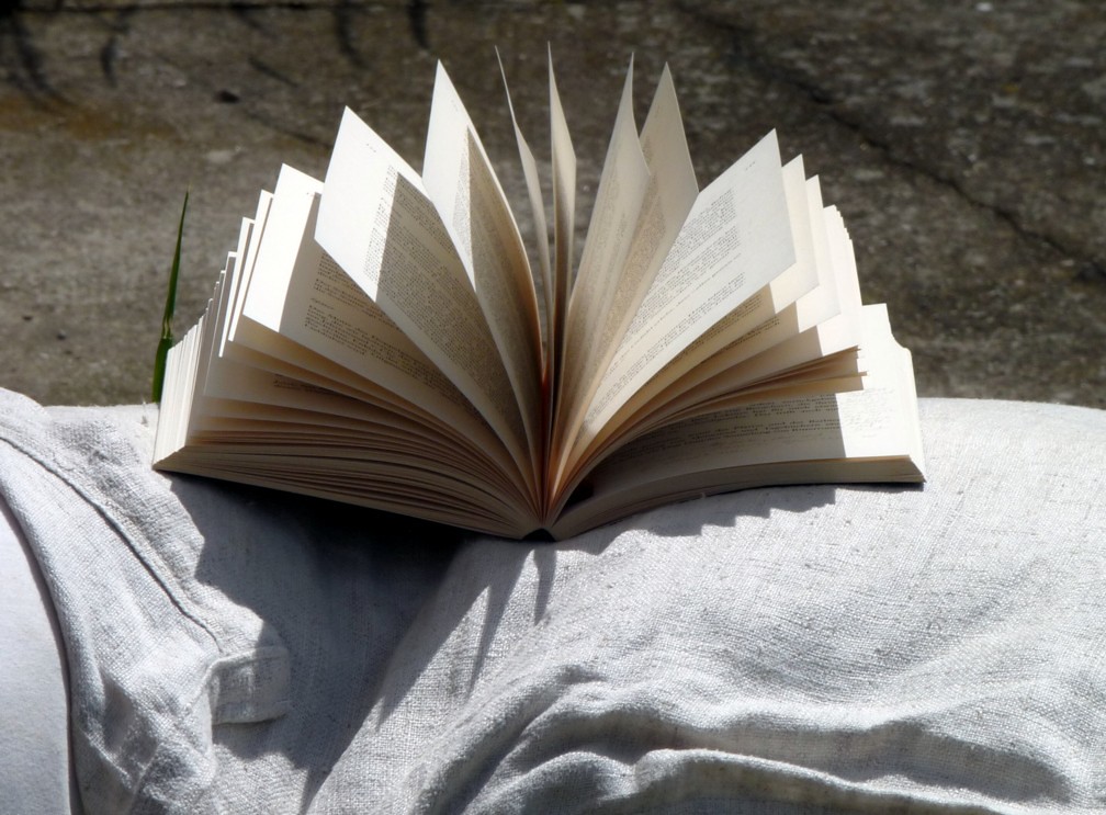 A book lying open outside in the sunlight with pages fanned