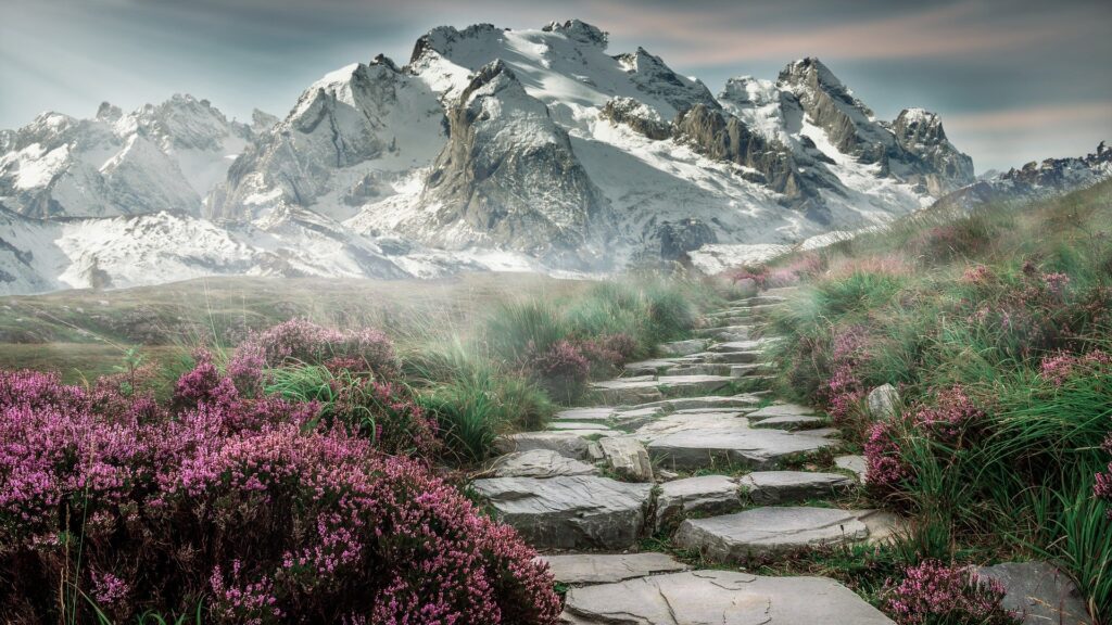 mountain landscape and concrete path